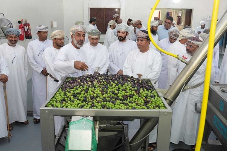 افتتاح معصرة حديثة لزيت الزيتون بولاية الجبل الأخضر